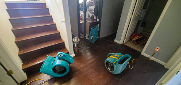 Best Carpet water damage restoration  in Uhland, TX