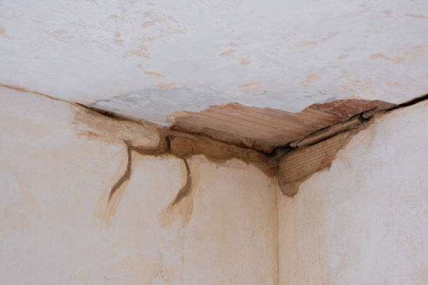 Best Water damage cleanup near me  in Uhland, TX