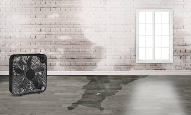 Best Water damage restoration near me  in Uhland, TX