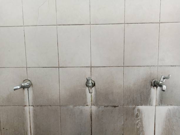 Best Fire Damage Restoration  in Uhland, TX