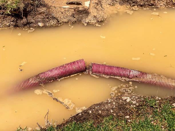 Best Mold removal after water damage  in Uhland, TX